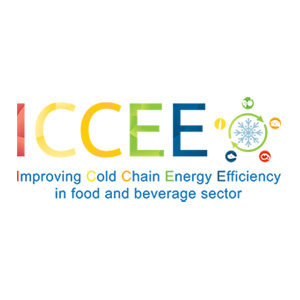 ICCEE Project